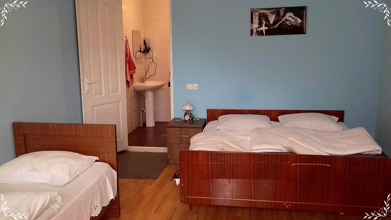 Nino Khetaguri Guest House Kazbegi Kültér fotó