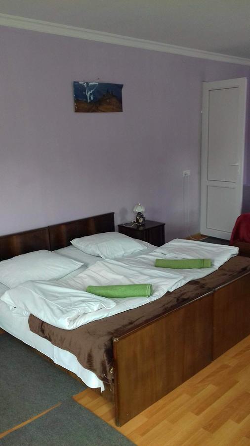 Nino Khetaguri Guest House Kazbegi Kültér fotó