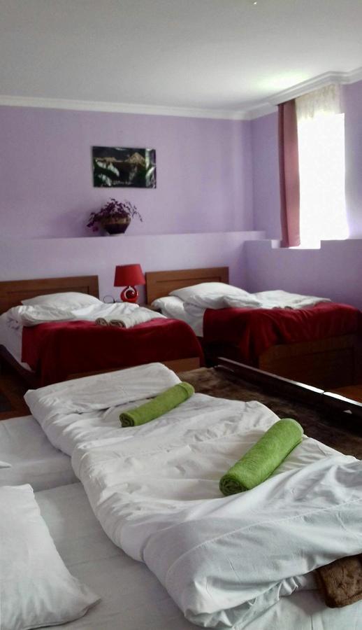 Nino Khetaguri Guest House Kazbegi Kültér fotó