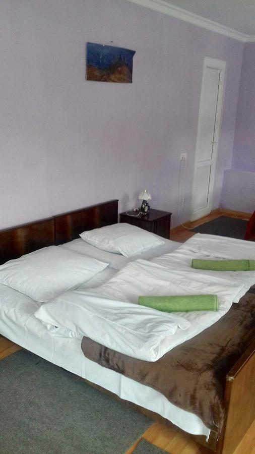Nino Khetaguri Guest House Kazbegi Kültér fotó